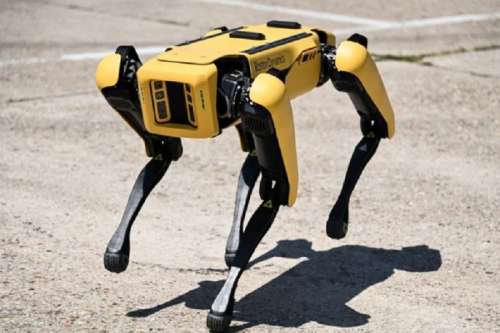 Розміновувати Україну допоможе робот-пес від Boston Dynamics
