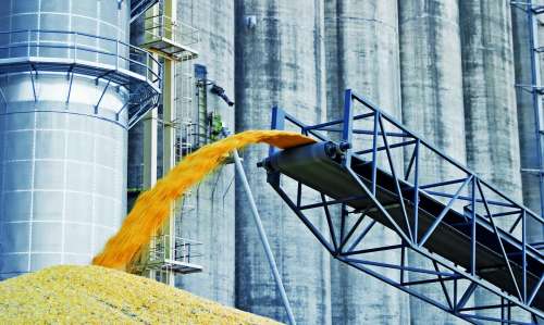 OKKO закупить зерновози на 100 млн грн