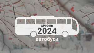 Які автобуси купували в Україні у січні