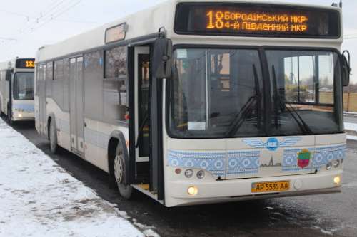 Запоріжжя придбає 26 електробусів і 20 дизельних автобусів