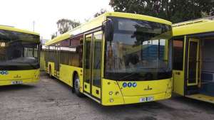 Скасували тендер на закупівлю 100 автобусів для Львова
